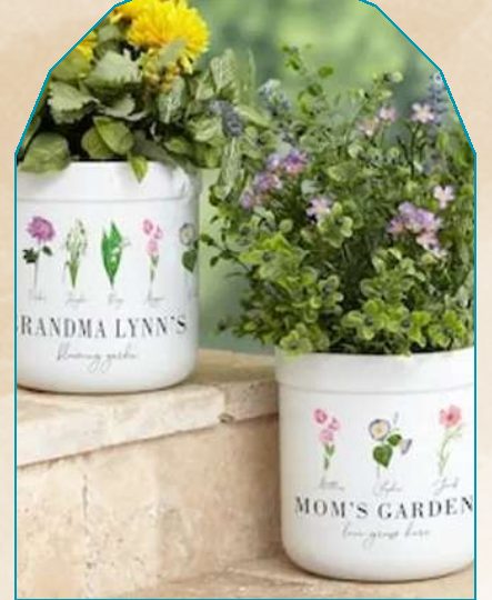 Customized Pot plant from NAHOR