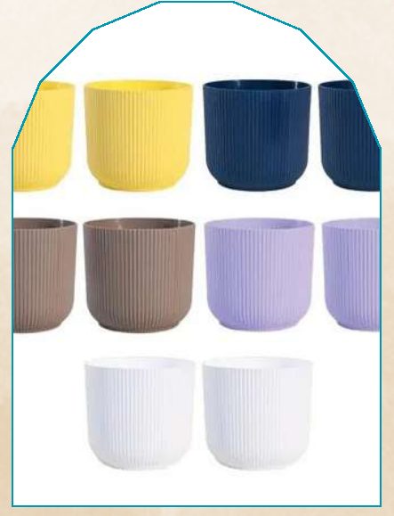 Pot (Medium) plant from NAHOR