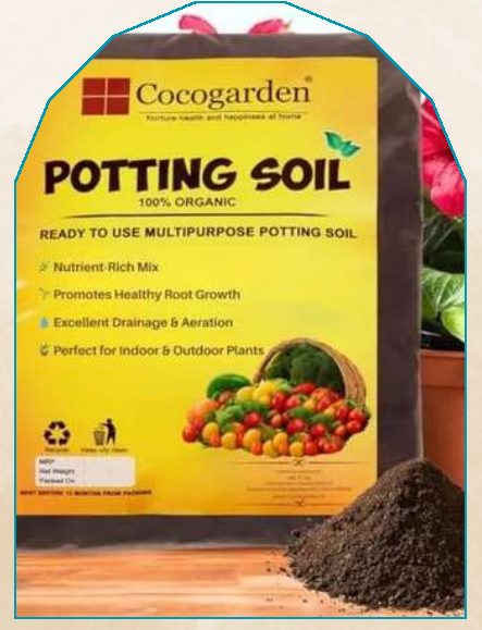 Soil (10 KG) plant from NAHOR