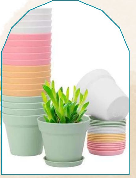 Pot (Small) plant from NAHOR