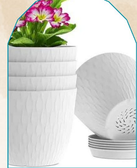Pot (Big) plant from NAHOR